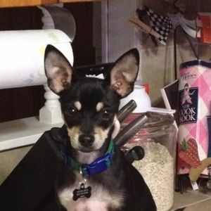 Meet your Posher, Brooke